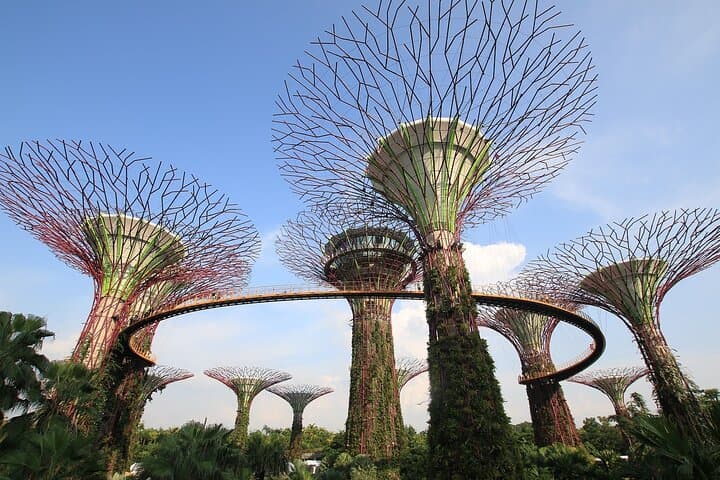 Private 4-Hour Singapore City Tour by Car or Minibus photo 5