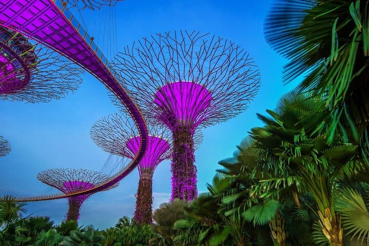 Gardens by the Bay: Complete Day Pass to Cloud Forest, Flower Dome & Supertrees photo 2
