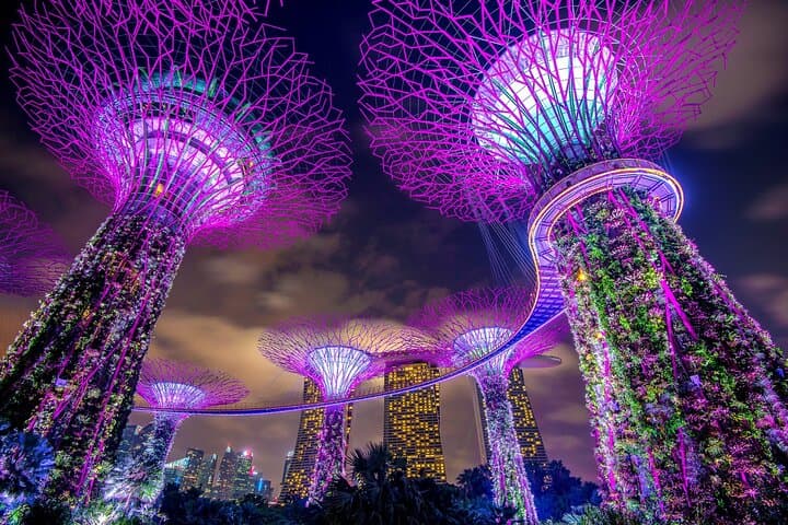 Gardens by the Bay: Complete Day Pass to Cloud Forest, Flower Dome & Supertrees photo 3