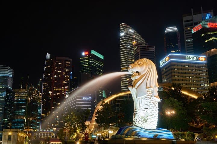 Private 4-Hour Singapore City Tour by Car or Minibus