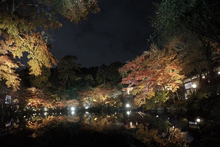 Virtual Kyoto Walking Tour — Kiyomizu, Arashiyama Bamboo & Manga Museum photo 2