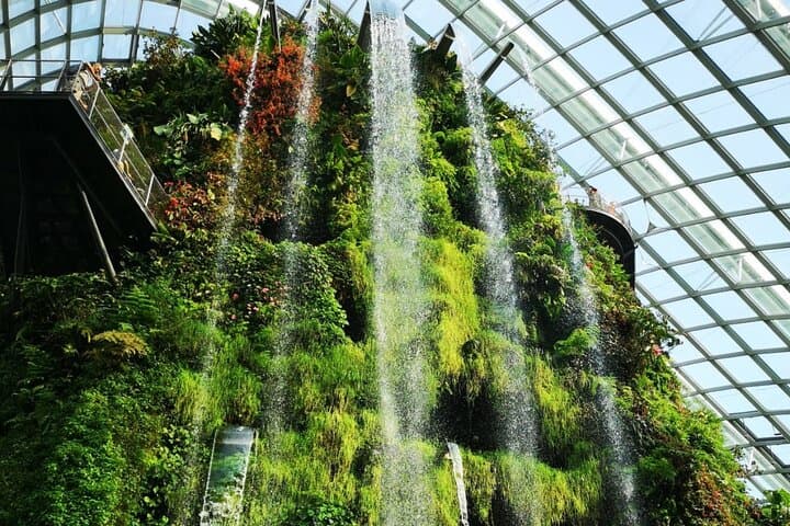 Inside The Green Planet Dubai: Tropical Bio-Dome Experience at City Walk photo 2
