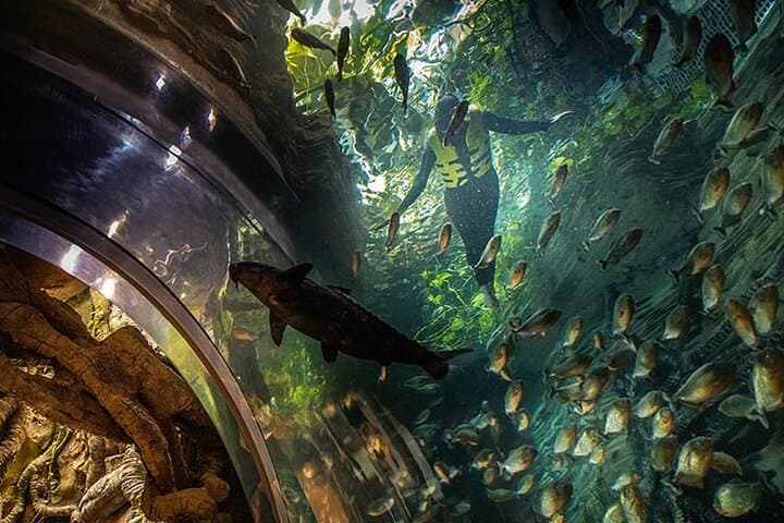 Inside The Green Planet Dubai: Tropical Bio-Dome Experience at City Walk photo 5