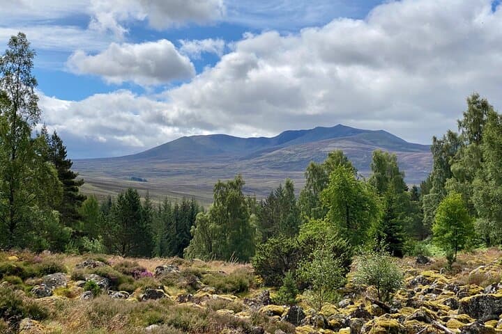 Balmoral Cairns and Castle Guided Walk — 10km Royal Estate Hike photo 3