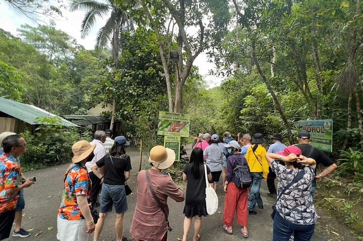 Bohol Day Tour from Cebu: Chocolate Hills, Tarsier Encounters & Loboc River Cruise photo 2