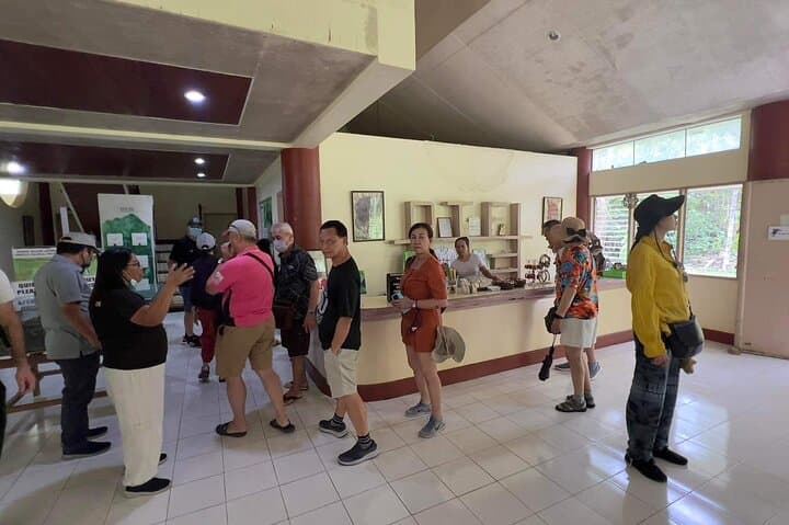 Bohol Day Tour from Cebu: Chocolate Hills, Tarsier Encounters & Loboc River Cruise photo 3