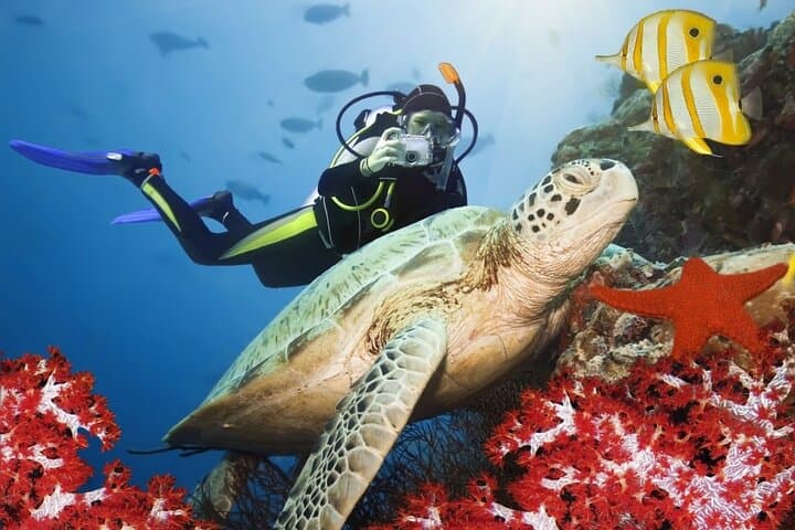 Kusadasi Scuba Diving Experience with Licensed Instructor and Transfer