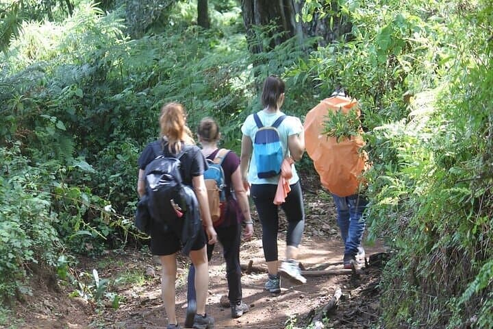 7-Day Lemosho Route to Kilimanjaro Summit: A Practical Guide to the Lemosho Circuit photo 6