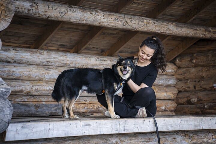 Hike with Lappish Dogs in Lapland: Guided Arctic Trek from Rovaniemi photo 2