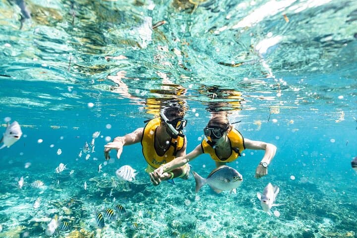 Snorkel Reefs, Shipwrecks, Cenote & MUSA: Cancun Half‑Day Adventure
