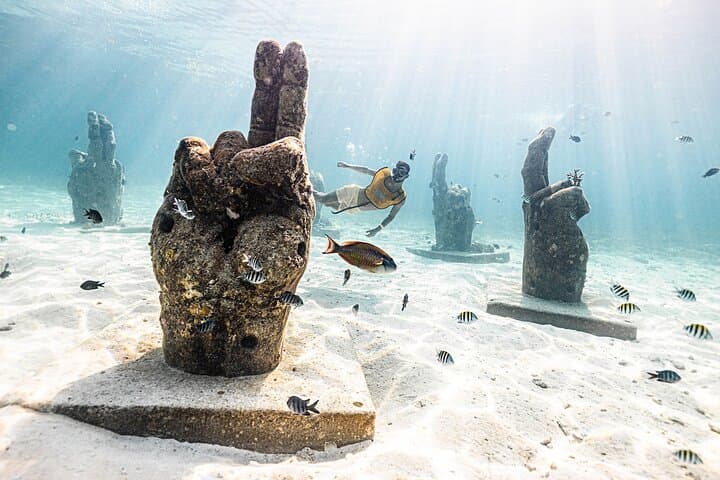 Snorkel Reefs, Shipwrecks, Cenote & MUSA: Cancun Half‑Day Adventure photo 6