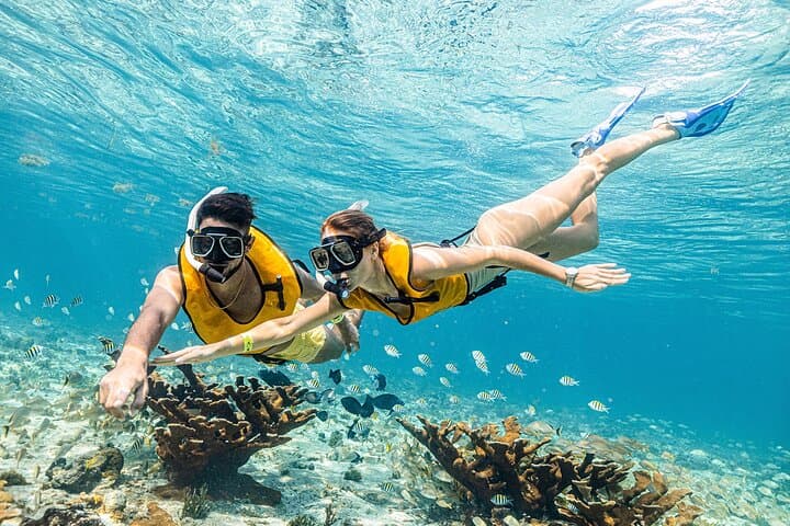 Snorkel Reefs, Shipwrecks, Cenote & MUSA: Cancun Half‑Day Adventure photo 2
