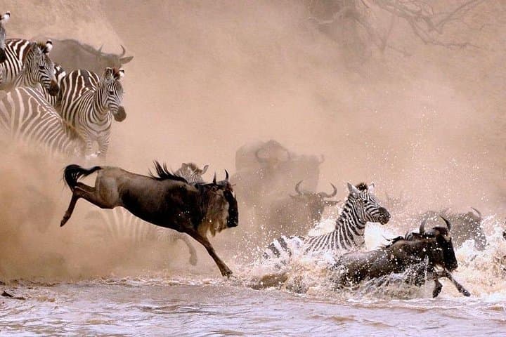 10-Day Wildebeest Migration Safari in the Serengeti: A Practical Guide to the Crossing photo 1