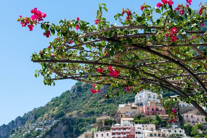 Positano Local Walking Tour: Explore Vertical Streets, Crafts & Coastal Cuisine photo 3