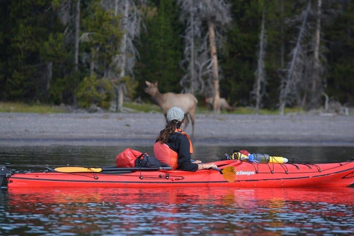 Sunset Kayaking on Yellowstone Lake — Small-Group Tour Past West Thumb & Geyser Basins photo 5