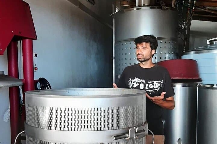 Inside Pico Island's Volcanic Vineyards: A Winemaker-Led Wine Tour photo 2