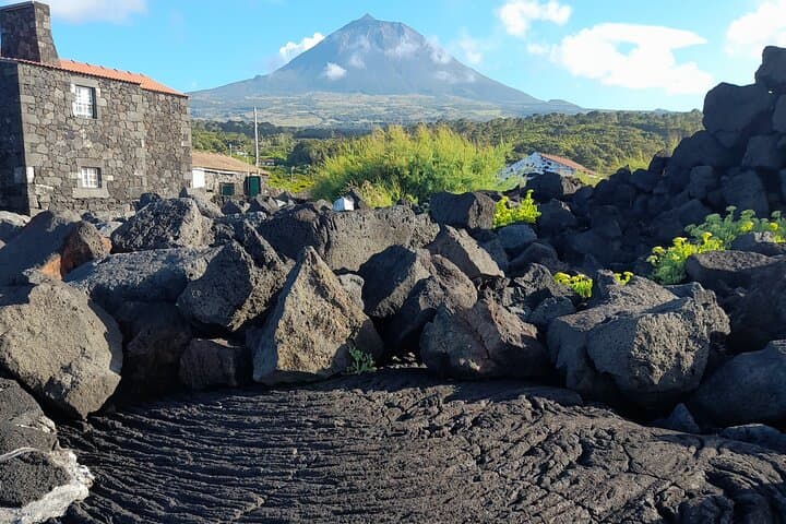 Inside Pico Island's Volcanic Vineyards: A Winemaker-Led Wine Tour photo 6