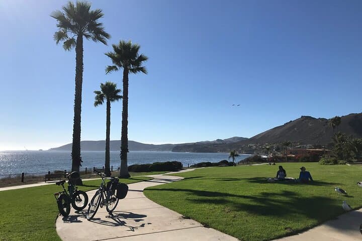 Pedego E-Bike Coastal Loop: Pismo Beach, Shell Beach & Avila photo 3