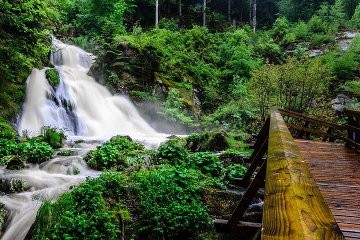Full-Day Private Tour of Baden's Black Forest — Waterfalls, Lakes & Cuckoo Clocks photo 6