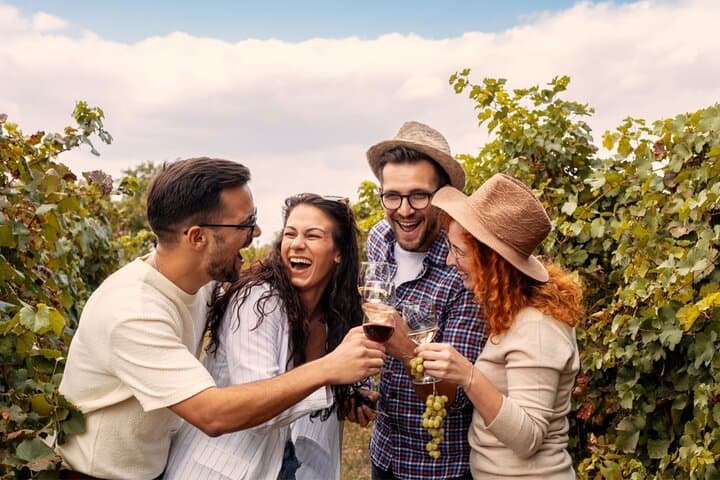 Baden-Neuweier Vineyard Walking Tour: Hills, History & Wine Tasting photo 3