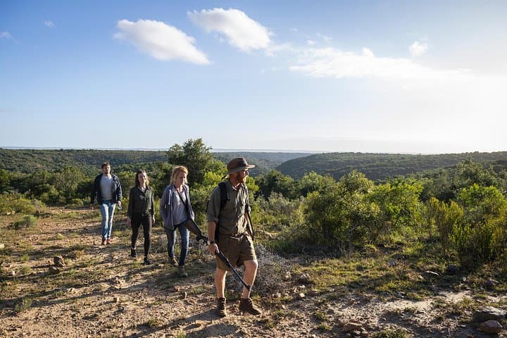 Discover Addo: 2-Day Elephant Safari, Sundays River Cruise & Giraffe Tracking photo 4