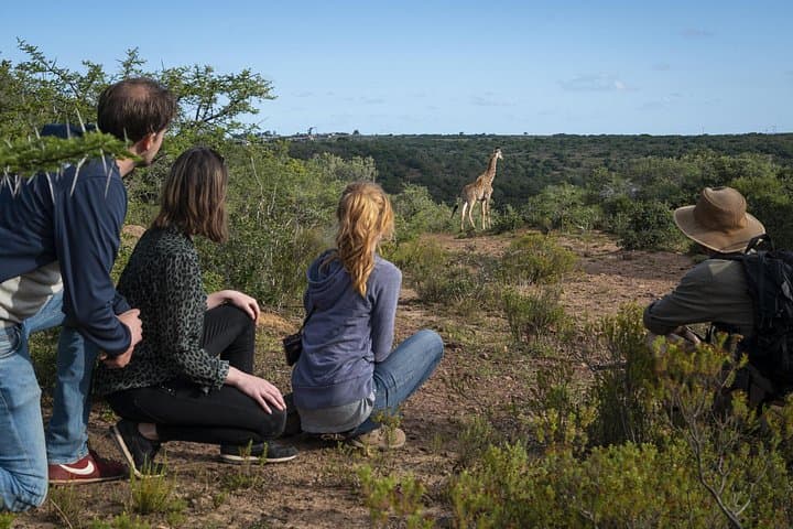 Discover Addo: 2-Day Elephant Safari, Sundays River Cruise & Giraffe Tracking photo 5