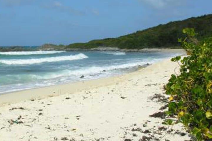 St. Martin Secret Beach Hike: Anse Marcel to Baie des Petites Cayes photo 3