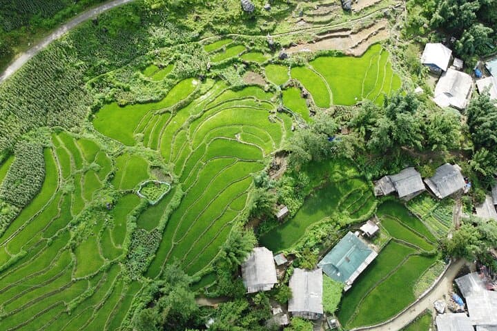 Sapa 2-Day Trek: Homestay in Ta Van and Muong Hoa Valley photo 6