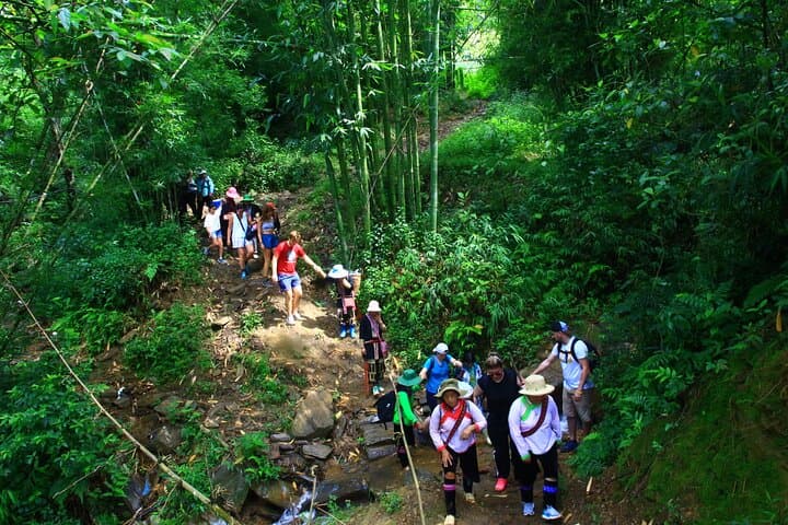 Sapa 2-Day Trek: Homestay in Ta Van and Muong Hoa Valley photo 3
