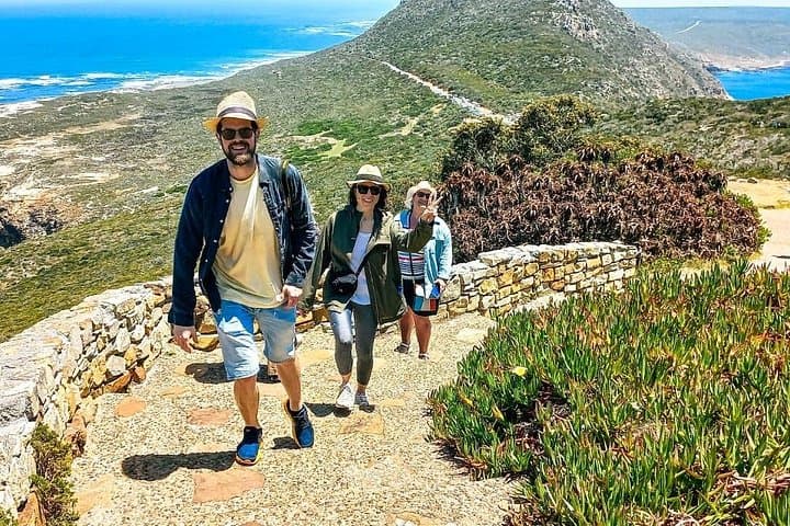 Private Cape Town to Cape of Good Hope & Cape Point Tour — Penguins, Chapman's Peak, Wine Tastings photo 3