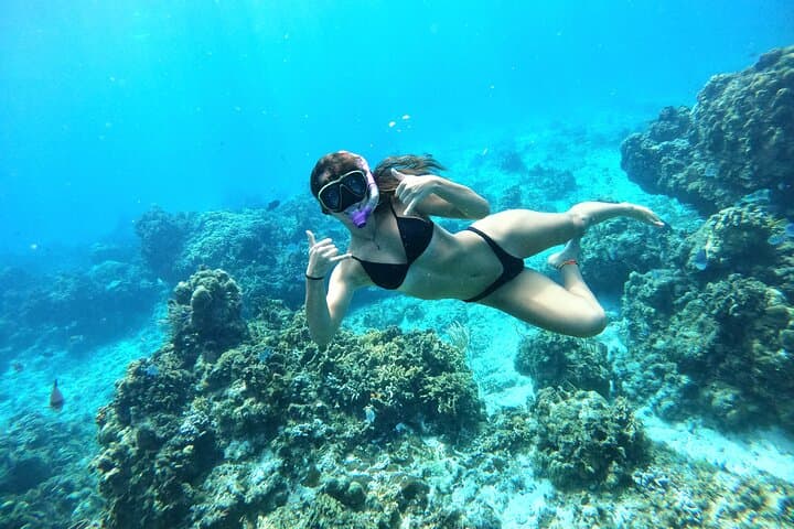 Cozumel Turtle Sanctuary Snorkel Tour — El Cielo, Green Turtles & Cielito photo 3