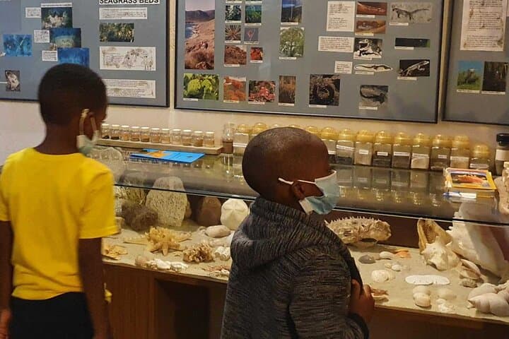 St. Martin & St. Maarten: Half-Day Museum and Beach Lunch Tour photo 6