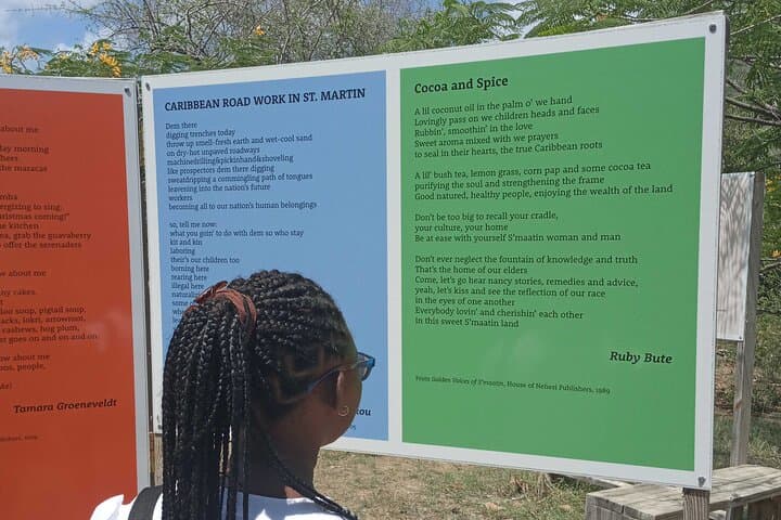 St. Martin & St. Maarten: Half-Day Museum and Beach Lunch Tour