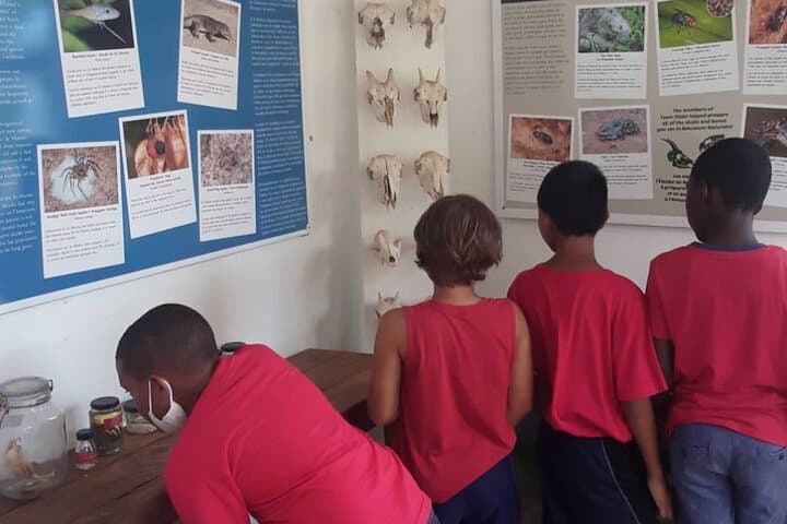 St. Martin & St. Maarten: Half-Day Museum and Beach Lunch Tour photo 3