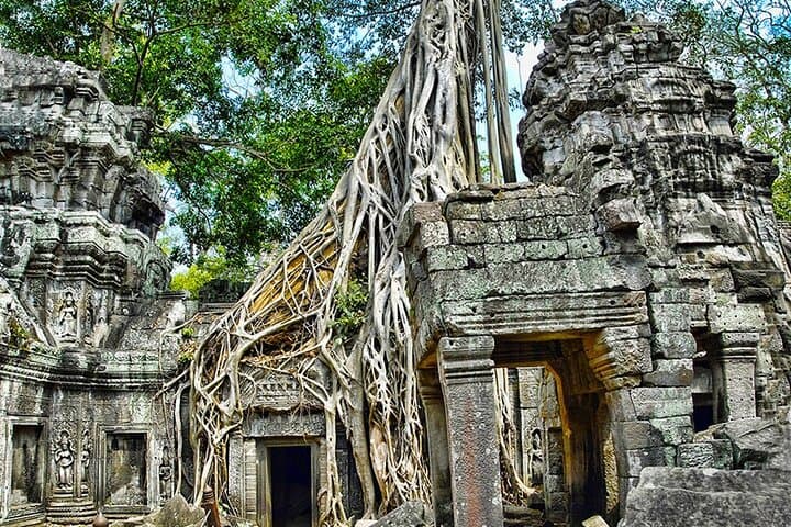 Angkor Wat Temples and Kulen Elephant Forest Day Tour — Siem Reap Cultural & Wildlife Day Trip photo 6