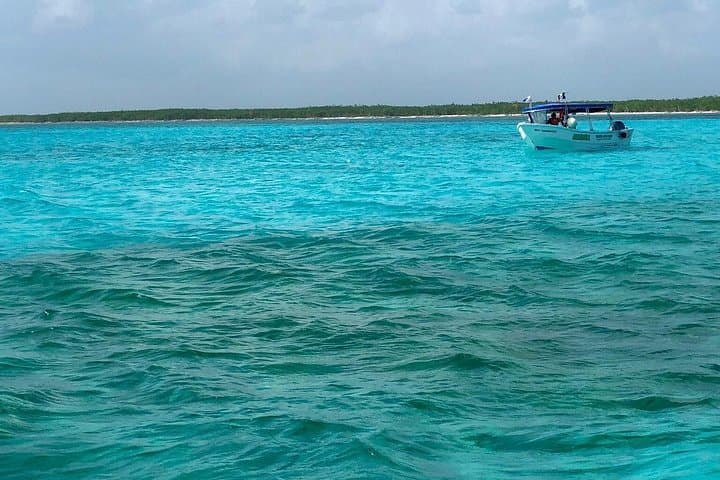 Cozumel Snorkeling Tour — Palancar, Colombia & El Cielo Reefs Half-Day Guide photo 4