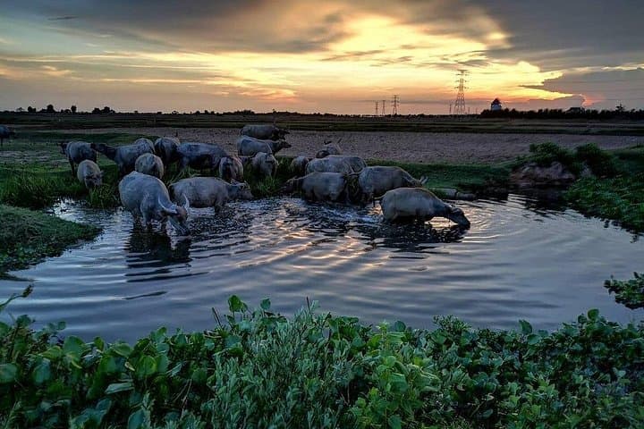 ATV Grand Sunset Tour: Siem Reap Countryside Quad Adventure at Dusk photo 4