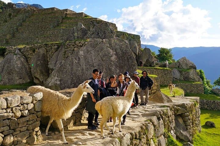 Full-Day Private Machu Picchu from Cusco: Train to the Citadel, Guided Tour & Lunch photo 3