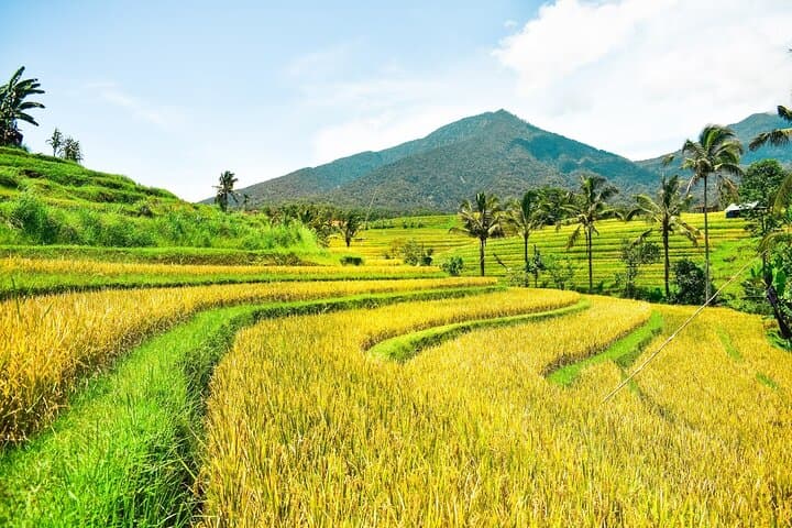 Bali Private Full-Day Tour: Uluwatu, Tegalalang & Tanah Lot with Driver photo 3