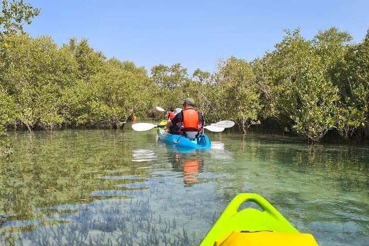 Full-Day Abu Dhabi City Tour and Eastern Mangroves Kayak Adventure from DXB photo 5