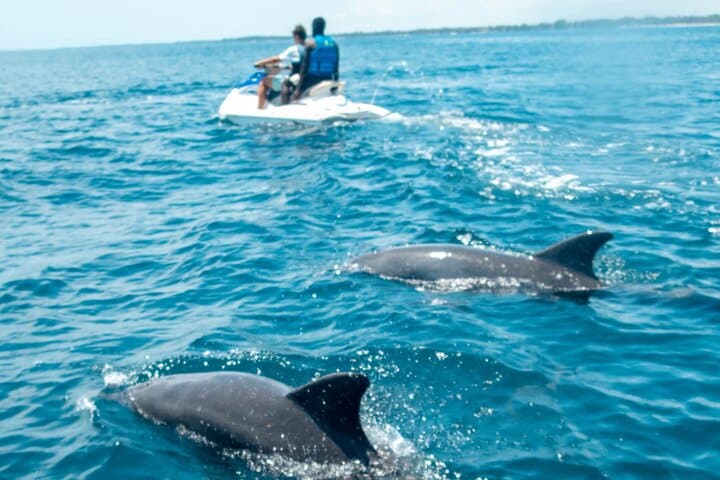 Galu Beach Jet Ski Dolphin Safari — Diani High-Speed Dolphin Watching photo 2