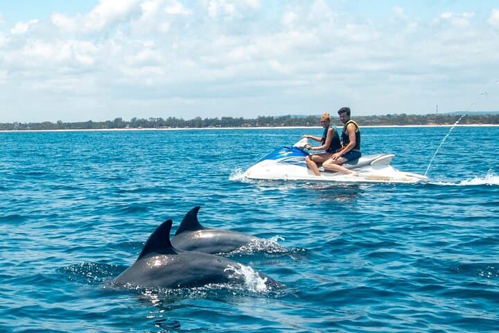 Galu Beach Jet Ski Dolphin Safari — Diani High-Speed Dolphin Watching photo 3