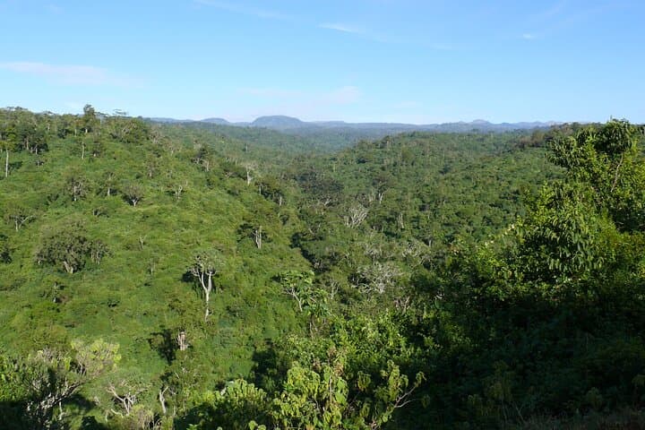 Two-Day Aberdare & Solio Ranch Safari: Rhino Conservation and Highland Game Drives photo 3