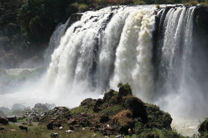 Lake Tana & Blue Nile Falls Day Trip from Bahir Dar — Monasteries, Hippos & Tis Abay photo 2