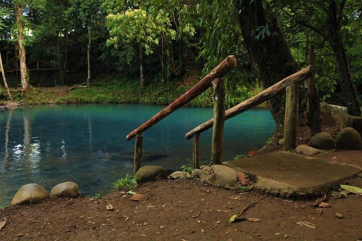 Day Trip to Río Celeste from San José — Waterfall, Blue Lagoon & Private Swim photo 6