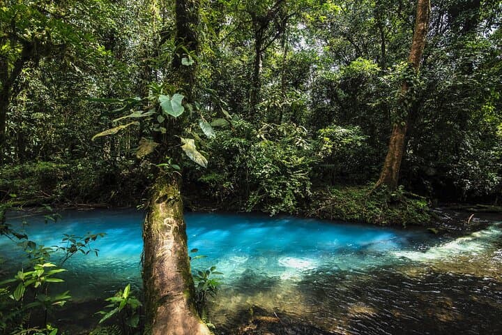 Day Trip to Río Celeste from San José — Waterfall, Blue Lagoon & Private Swim photo 5