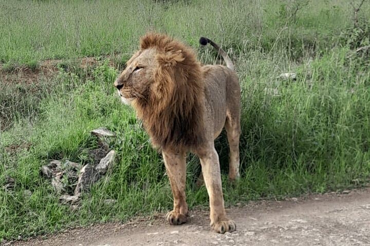 Day Trip to Maasai Mara from Nairobi — Big Five Safari in a Day photo 1