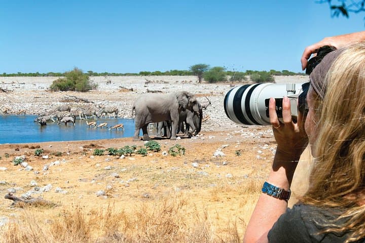 Full-Day Lake Manyara Safari: Tree-Climbing Lions, Flamingos & Hippo Pools photo 2