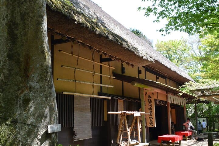 Hike Hakone Hachiri — Walk the Ancient Tokaido from Odawara to Lake Ashi