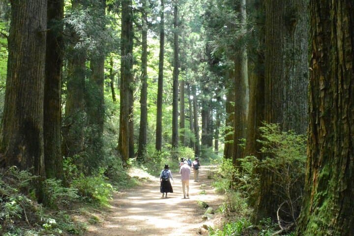 Hike Hakone Hachiri — Walk the Ancient Tokaido from Odawara to Lake Ashi photo 3